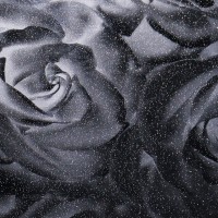 Роза черная TM-437